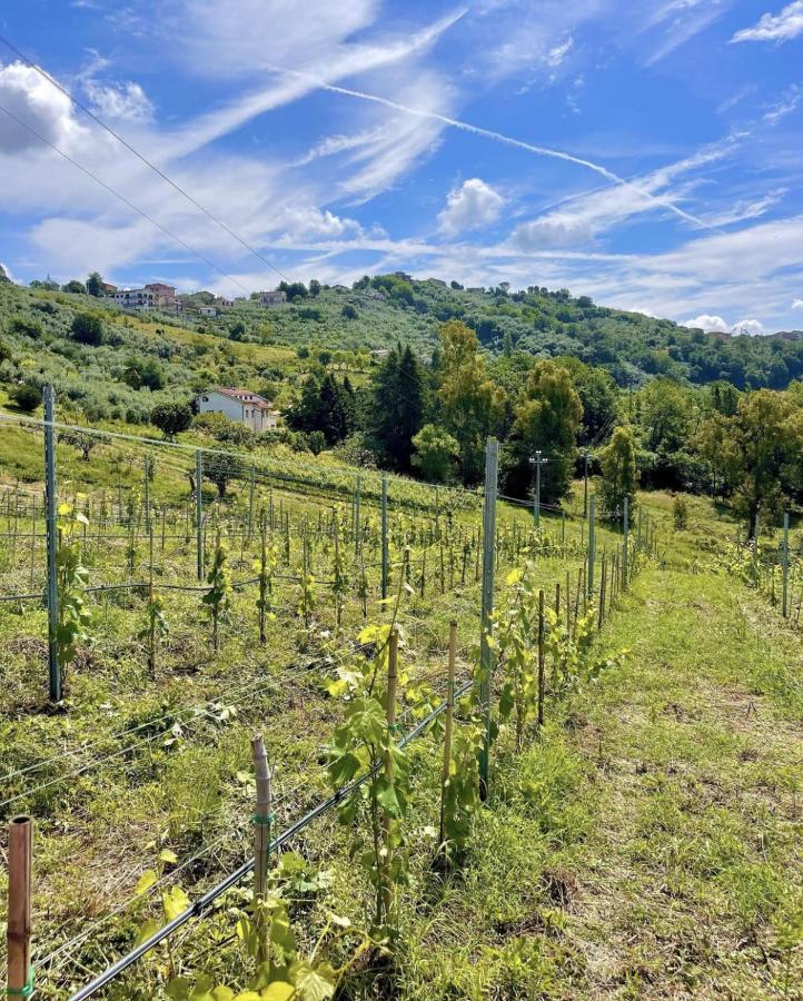 Donna Vittori - Borgo Agricolo Aparthotel Paliano Kültér fotó