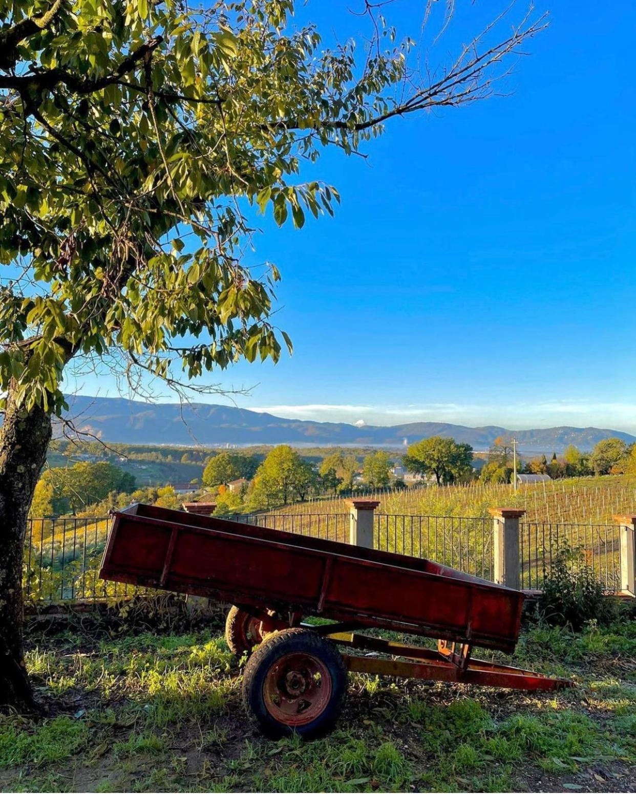 Donna Vittori - Borgo Agricolo Aparthotel Paliano Kültér fotó