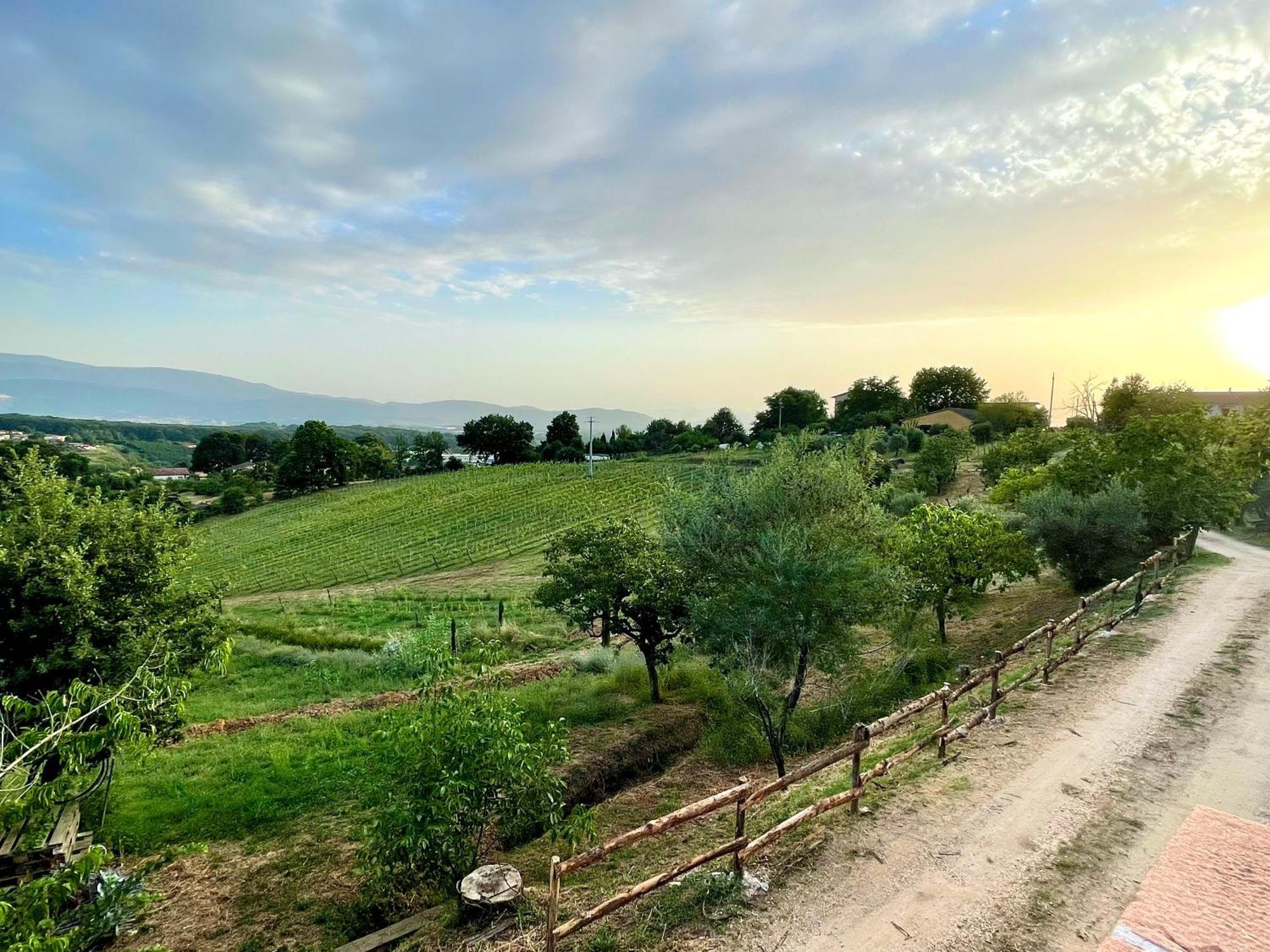 Donna Vittori - Borgo Agricolo Aparthotel Paliano Kültér fotó